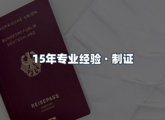 证件页面制证展示